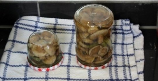 Маринованные маслята за сутки