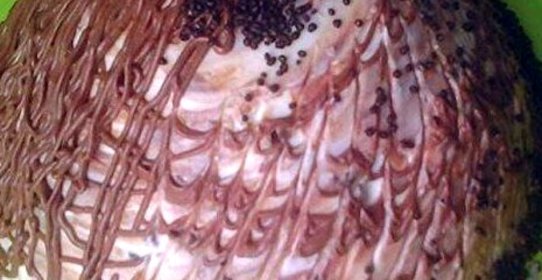 Торт «Санчо» коффейный с шоколадом