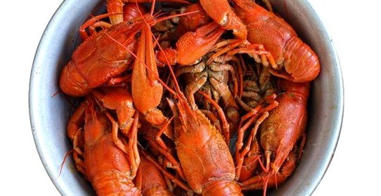 Вареные раки с укропом и морковью