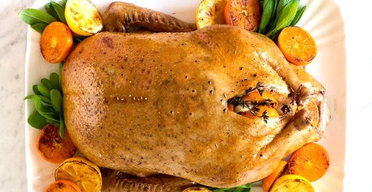 Индоутка с апельсинами