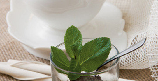 Шоколадный торт с муссом из киви