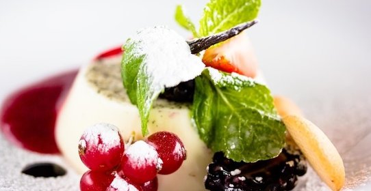 Домашняя панакота