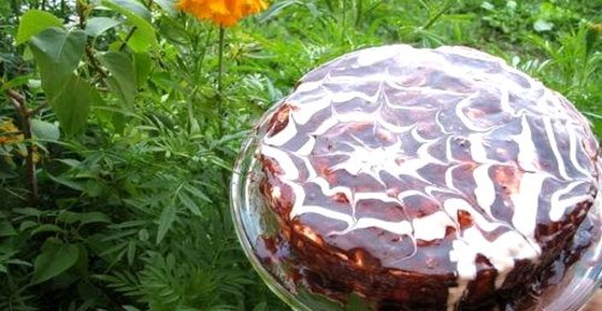 Маковый торт с йогуртом и шоколадом