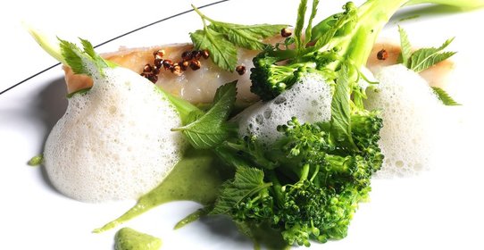 Судак с капустой и гречкой