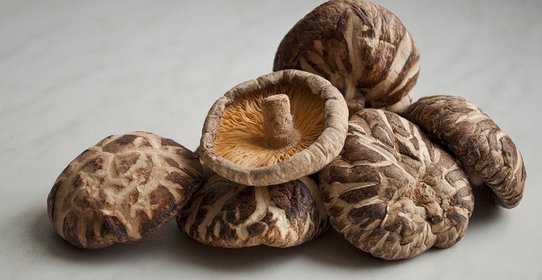 Тушеные шиитаке