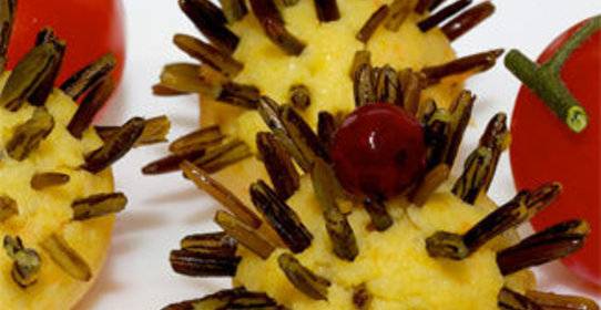 Веселые ежики