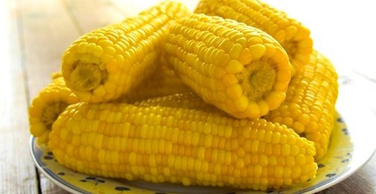 Отварная кукуруза в початках