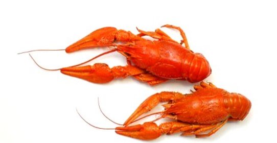 Раки по рецепту Вадима Калинича