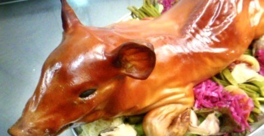 Зажаристый поросенок целиком, начиненный гречкой с грибами