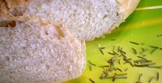 Хлеб с розмарином на оливковом масле