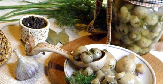 Маринованные шампиньоны с чесноком