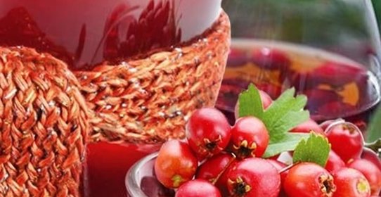 Домашнее вино из боярышника