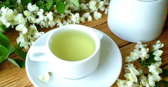 Чай из акации
