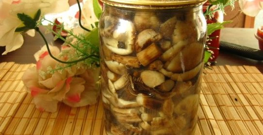 Маринованные опята