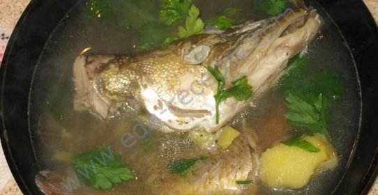 Уха щучья по-еврейски