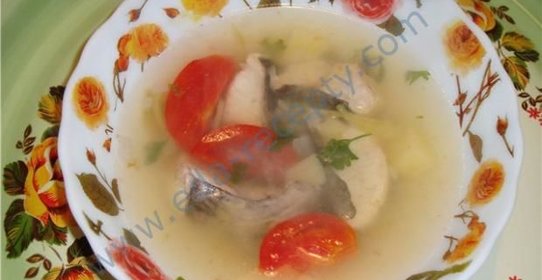 Уха из сома