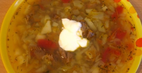 Щи с говядиной