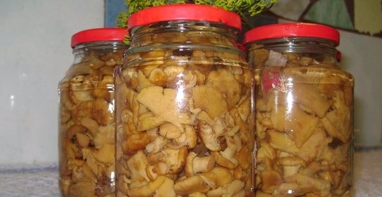 Маринованные лисички с луком