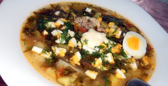 Зеленый борщ с курицей и томатом