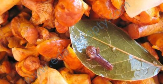 Маринованные лисички