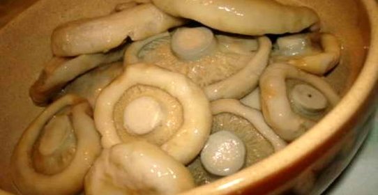 Маринованные грузди с чесноком