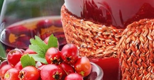 Домашнее вино из ирги