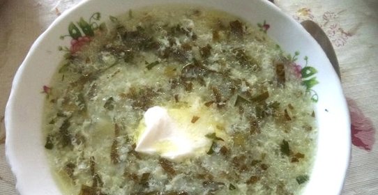 Зеленый борщ без мяса