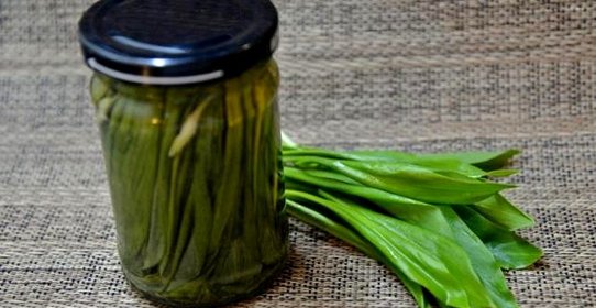 Маринованная черемша