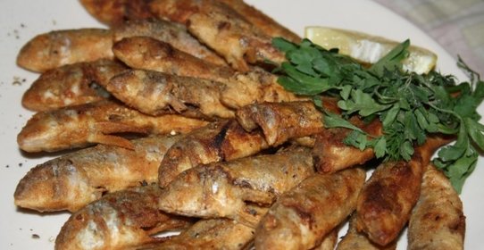 Золотая барабулька