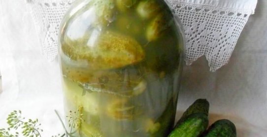 Малосольные огурцы на зиму