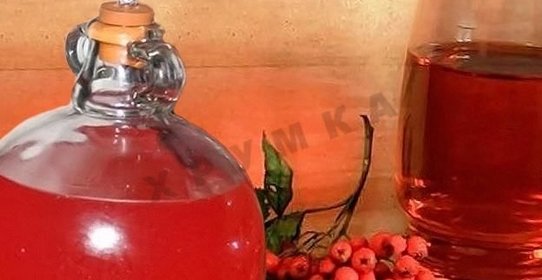 Домашнее вино из красной рябины