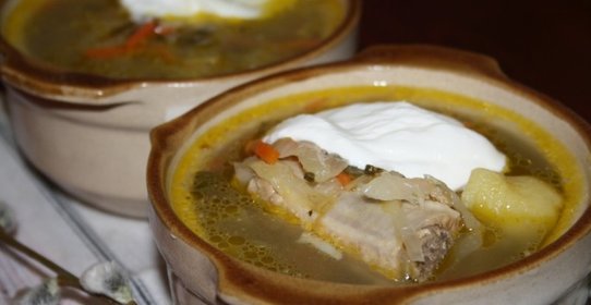 Щи с квашеной капустой и молодым щавлем