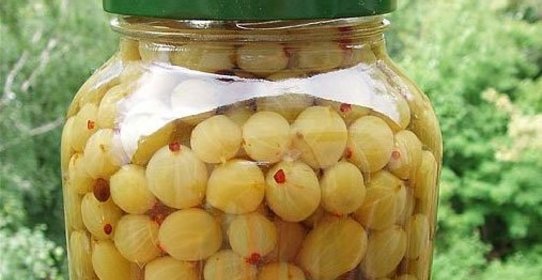 Крыжовник маринованный