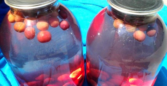 Компот из вишни