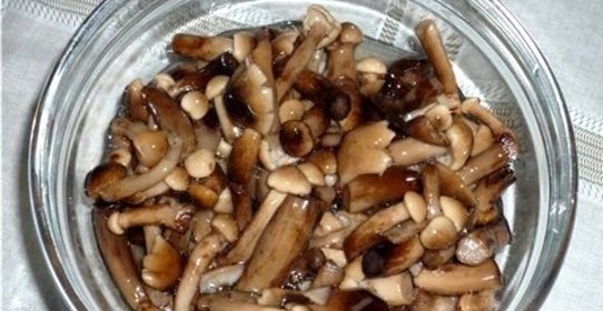 Маринованные опята в масле