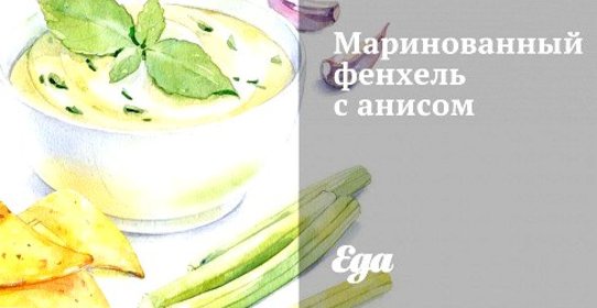 Маринованный фенхель с анисом