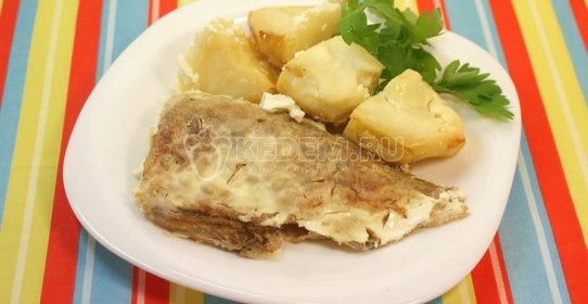 Подлещики в сметане с картофелем