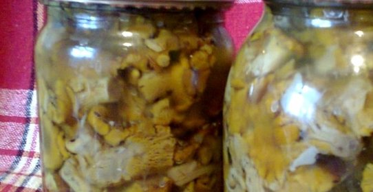 Маринованные лисички на зиму