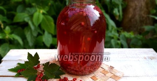 Компот из красной смородины на зиму