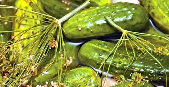 Огурцы Сказка