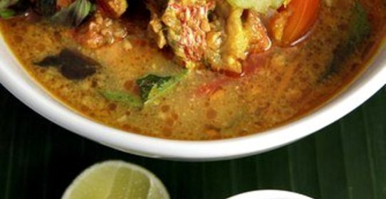 Уха из морского ангела