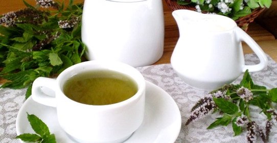 Чай с мятой для похудения