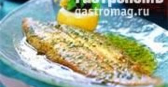 Морской язык Соль Маньер