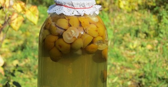 Компот из лимонника