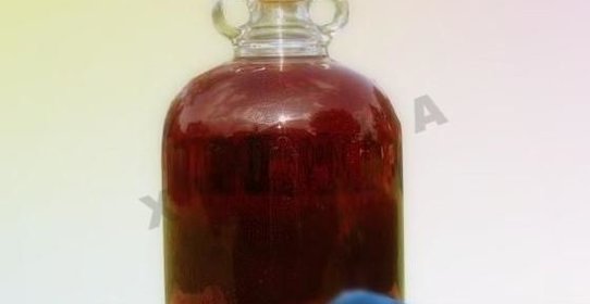 Компот из терна на зиму