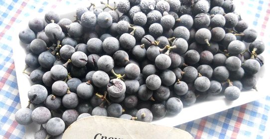 Замороженный виноград