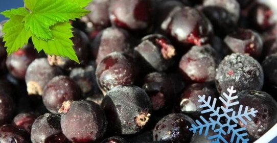 Заморозка смородины