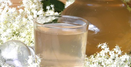 Компот из цветков бузины