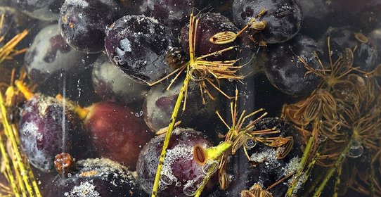 Маринованный виноград