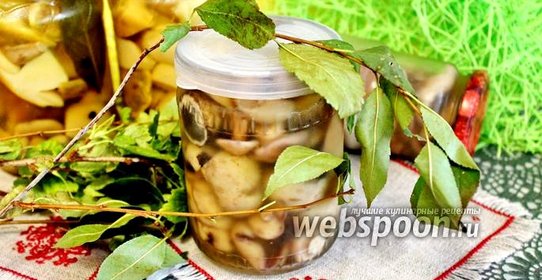 Маринованные подосиновики
